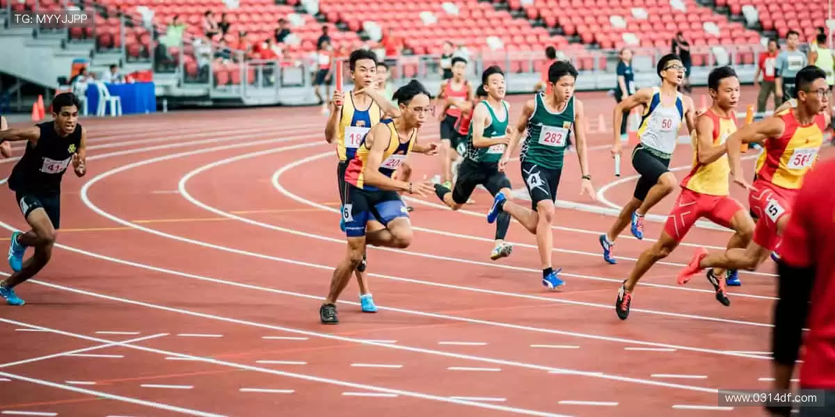 🎙️深度解读,冠军之路!🏆揭秘赛场背后的热血与汗水!